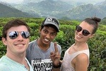 Guided tour Ella & Diyaluma waterfall by car