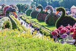 Ride through Dubai City attractions with Covering Miracle Garden !!
