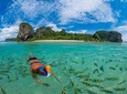Phi Phi and Bamboo Islands Snorkeling Premium Service Trip From Khao Lak