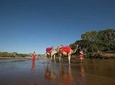 4 Days - Samburu & Aberdares National Park Safari