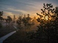 Sunrise at Kemeri National park + Jurmala