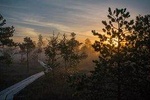 Sunrise at Kemeri National park + Jurmala