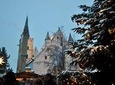 Wine & Weihnachtsmarkt (German Christmas Markets & Wine tour) Close to Frankfurt