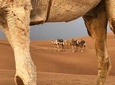 fes to marrakech 3 days desert tour