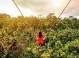 Bali Swing Experience and Ubud Tour (All Inclusive)