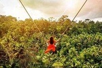 Bali Swing Experience and Ubud Tour (All Inclusive)