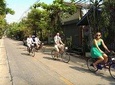 Lost in Bangkok : Green Lung Jungle Bicycle Ride with Lunch