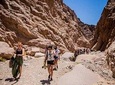 Sharm-El-Sheikh: Mount Sinai Hike & Dahab Private Tour