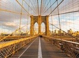 Brooklyn Scavenger Hunt: When Elephants Roamed Brooklyn