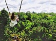Bali Swing Experience and Kintamani Volcano Tour (All Inclusive)
