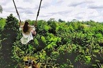 Bali Swing Experience and Kintamani Volcano Tour (All Inclusive)