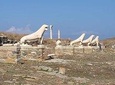 Half Day Guided Cruise Tour in Delos Mykonos