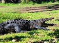 Amazing Ecotour Experience
