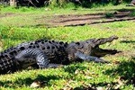 Amazing Ecotour Experience
