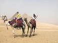 8 nights Cairo,Aswan,luxor,abu simbel,balloon,Alexandria&Nile cruise from Cairo.