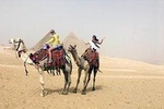 8 nights Cairo,Aswan,luxor,abu simbel,balloon,Alexandria&Nile cruise from Cairo.