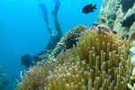 OnBird - The Unique Free-dive Trip in South Phu Quoc