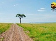 8-Day Nairobi, Amboseli, Lake Naivasha & Masai Mara Tour