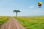 8-Day Nairobi, Amboseli, Lake Naivasha & Masai Mara Tour