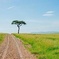 8-Day Nairobi, Amboseli, Lake Naivasha & Masai Mara Tour