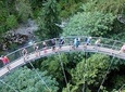 Vancouver / Capilano Suspension / Grouse Mountain / Sighseeing Tour Private