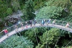 Vancouver / Capilano Suspension / Grouse Mountain / Sighseeing Tour Private