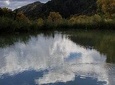 Fly Fishing Private Pond