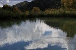Fly Fishing Private Pond