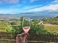 Private Day Trip : Montserrat, Lunch, Wine & Cava Taste in an Ancient Vineyard