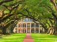 Oak Alley Plantation and Large Airboat Tour