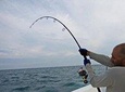 Fishing Tour in Mirissa