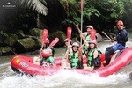 Best of Ubud "Jungle swing,Ubud Rafting Adventure & Rice terrace"