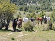 Horseback Riding with Asado in San Carlos de Bariloche, Argentina
