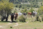 Horseback Riding with Asado in San Carlos de Bariloche, Argentina