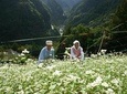 World Agricultural Heritage Brompton Bicycle Tour