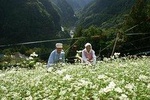 World Agricultural Heritage Brompton Bicycle Tour
