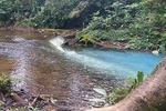 Rio Celeste Hiking & Sloths Santuary 