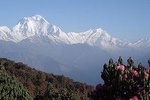 Kathmandu, Bhaktapur & Pokhara tour, Annapurna Region Trekking -14 days