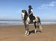 Horseback Riding: PLAYA BLANCA Advanced Riders - Tangier - 1 hour