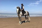 Horseback Riding: PLAYA BLANCA Advanced Riders - Tangier - 1 hour