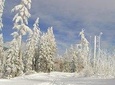Winter in the High Tatras Mountains