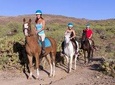 The Best Horse Riding Experience in Gran Canaria (1 hour)
