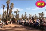 PACK QUAD AND CAMELS RIDE bab atlas min 2 pers -Private