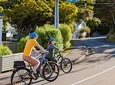 Half- Day Wellington Self-Guided Electric Bike Tour