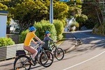 Half- Day Wellington Self-Guided Electric Bike Tour