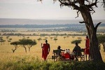 Amazing 4 Days Safari 3 Nights: Tarangire, Ngorongoro, Serengeti