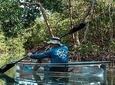 Clear Kayak Tours in Fort Pierce