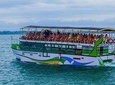 Whales & Dolphin Watching Day Tour From Induruwa