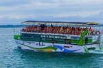 Whales & Dolphin Watching Day Tour From Induruwa