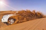 Morning Desert Safari- Dune Bashing- Camel Ride-Sand Boarding & Refreshments